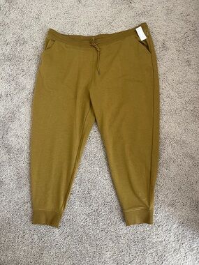 Eddie Bauer, cozy camp jogger pants bronze color size 3XL NEW NWT